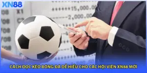 Cách Đọc Kèo Bóng Đá Dễ Hiểu Cho Các Hội Viên XN88 Mới